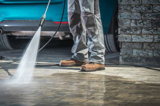 Boat and Dock Cleaning in Farmington, IL